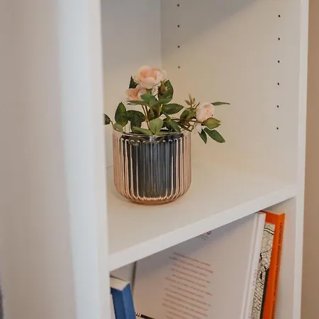 Rozenstein Design * Brocēni